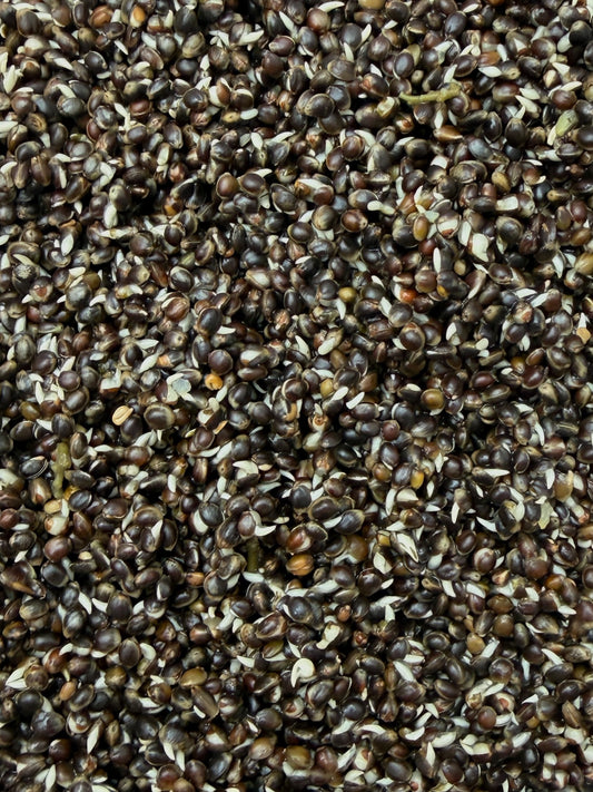 Hemp Seed 5kg