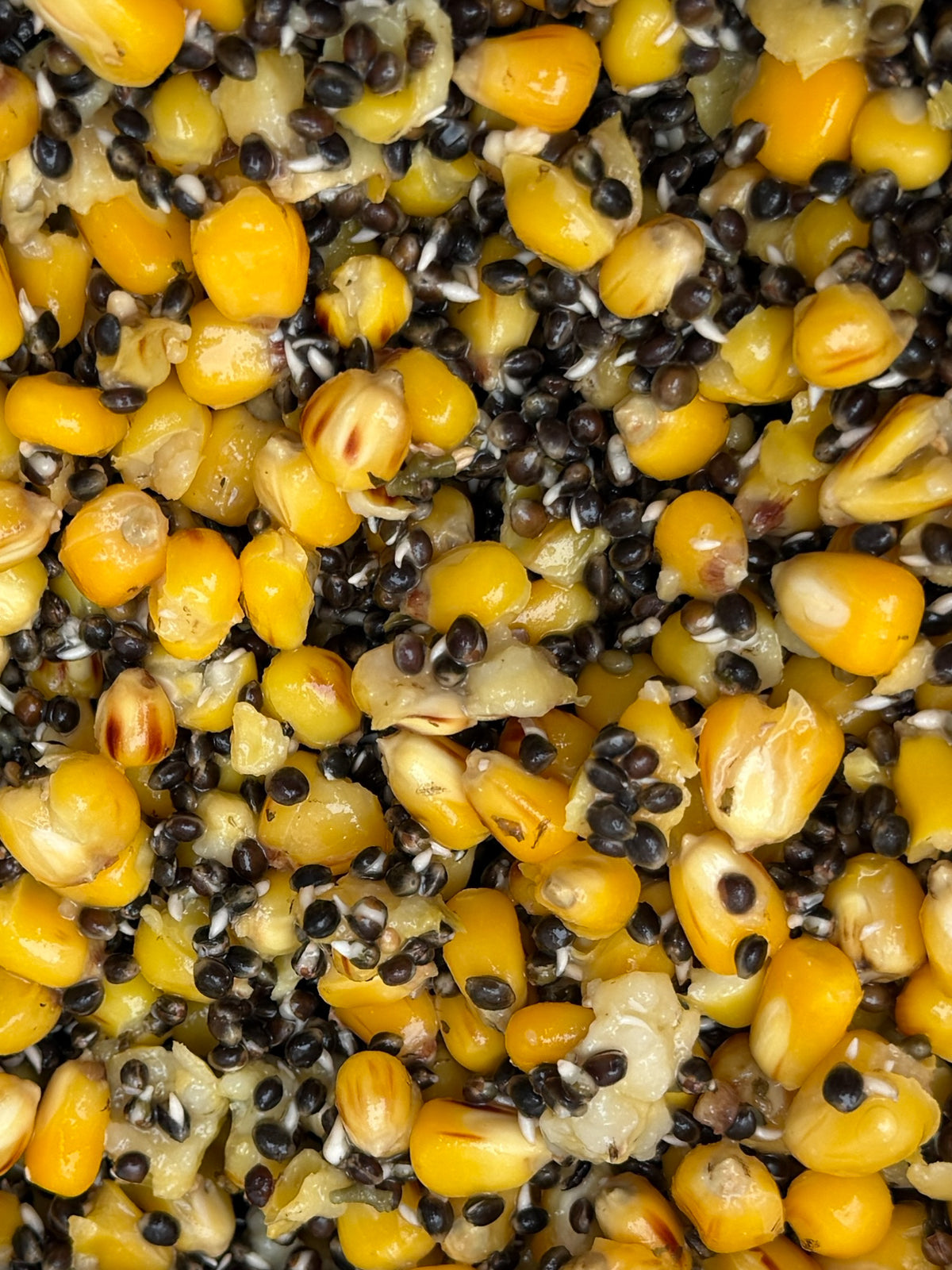 Hemp & Maize 5kg