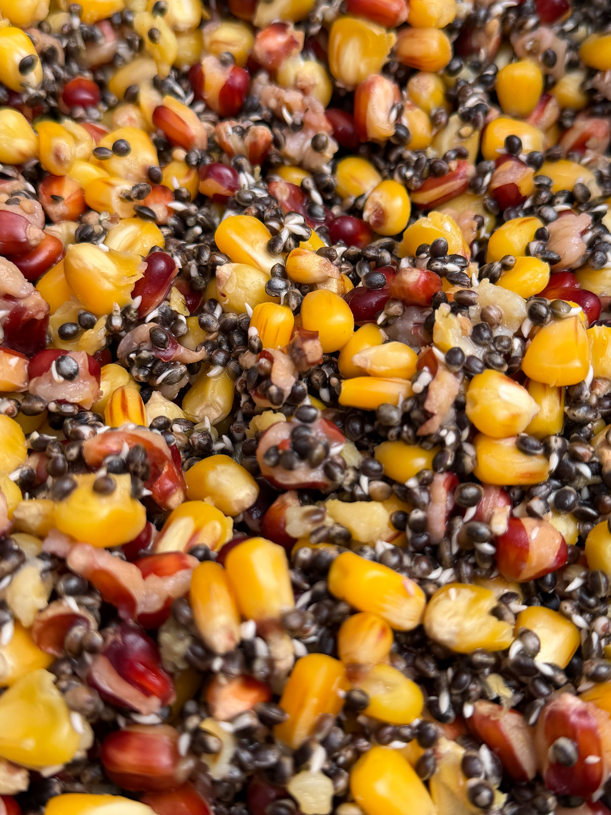 Hemp, Maize & Red Maize 5kg