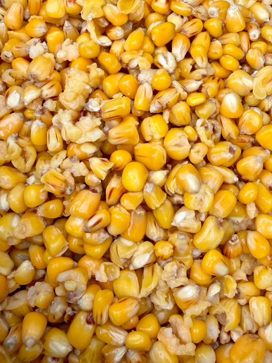 Maize 5kg